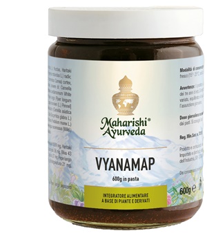 VYANAMAP PASTA 600 G - Doctor Vinz