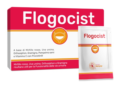 FLOGOCIST 10 BUSTINE - Doctor Vinz