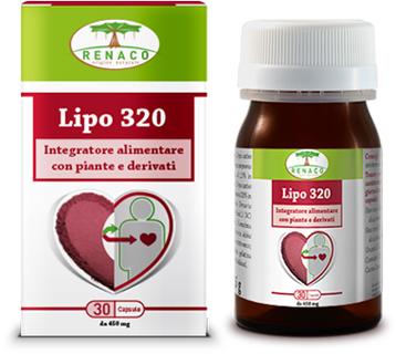 LIPO 320 30 CAPSULE - Doctor Vinz