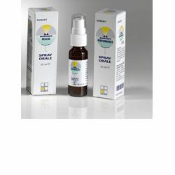 NOMABIT ROCK ROSE 20ML - Doctor Vinz