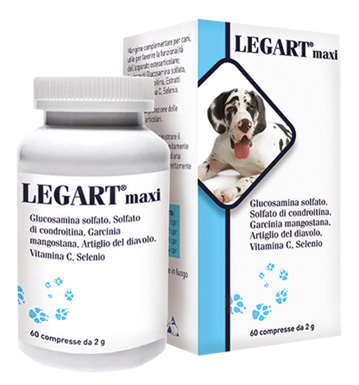 LEGART MAXI 60 COMPRESSE 2 G - Doctor Vinz
