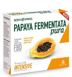 BODY SPRING PAPAYA FERMENTATA PURA INTENSIVE 12 BUSTINE - Doctor Vinz