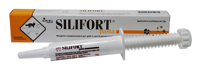 SILIFORT PASTA OS SIRINGA 15 G - Doctor Vinz