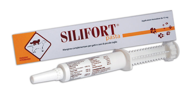 SILIFORT PASTA OS SIRINGA 30 G - Doctor Vinz