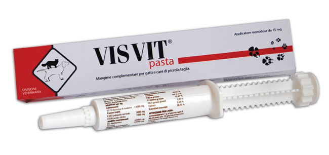 VISVIT PASTA OS SIRINGA 15 G - Doctor Vinz