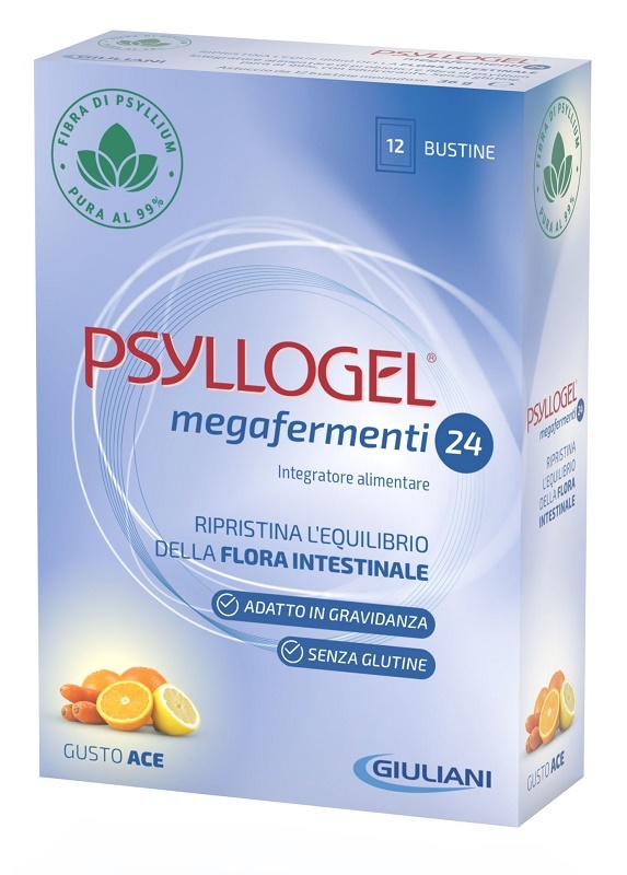 PSYLLOGEL MEGAFERMENTI 24 ACE 12 BUSTE 3 G - Doctor Vinz