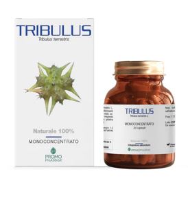 TRIBULUS 50 CAPSULE - Doctor Vinz