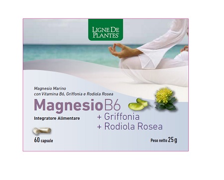 MAGNESIO B6 + GRIFFONIA + RODIOLA 60 CAPSULE - Doctor Vinz