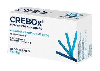 CREBOX 14 BUSTINE - Doctor Vinz