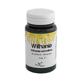 WITHANIA SOMNIFERA 60 CAPSULE - Doctor Vinz