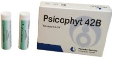 PSICOPHYT REMEDY 42B 4 TUBI 1,2G - Doctor Vinz