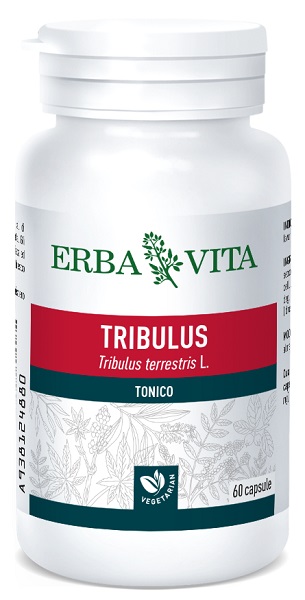 TRIBULUS TERRESTRIS 60 CAPSULE 500 MG - Doctor Vinz