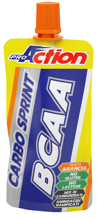 PROACTION CARBO SPRINT ENDURANCE BCAA ALL'ARANCIA 50 ML - Doctor Vinz
