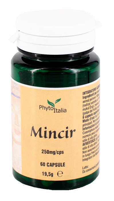 MINCEUR AYURVED 60 CAPSULE - Doctor Vinz