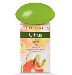 CITRUS SAPONE 100 G - Doctor Vinz