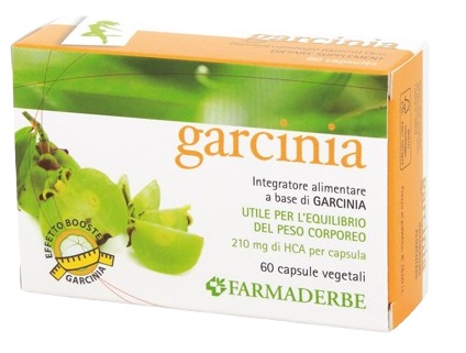 GARCINIA 60 CAPSULE 34,2 G - Doctor Vinz