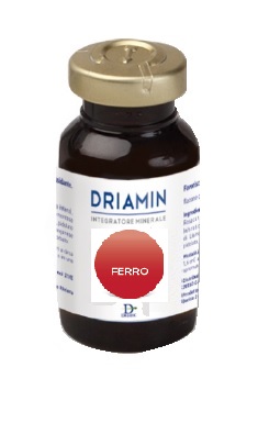 DRIAMIN FERRO 15 ML - Doctor Vinz