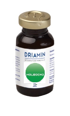 DRIAMIN MOLIBDENO 15 ML - Doctor Vinz