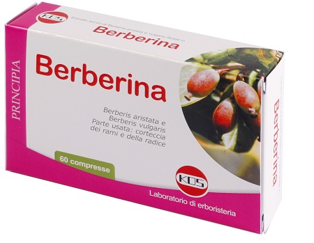 BERBERINA DA BERBERIS VULGARIS ESTRATTO SECCO 60 COMPRESSE - Doctor Vinz