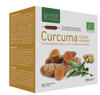 CURCUMA CICORIA ZENZERO BIO 15 AMPOLLE BEVIBILI DA 15 ML - Doctor Vinz