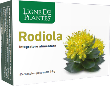 RODIOLA 45 CAPSULE - Doctor Vinz