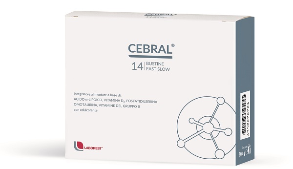 CEBRAL 14 BUSTINE - Doctor Vinz