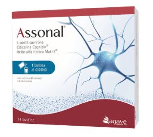 ASSONAL 14 BUSTINE - Doctor Vinz