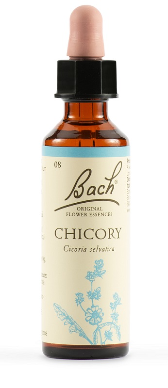 CHICORY BACH ORIG 20 ML - Doctor Vinz