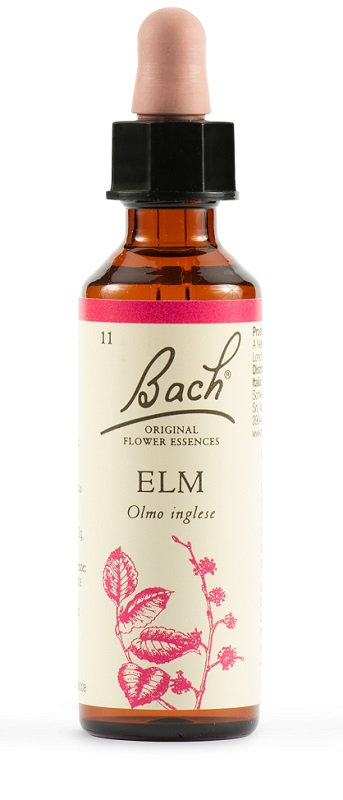 ELM BACH ORIG 20 ML - Doctor Vinz