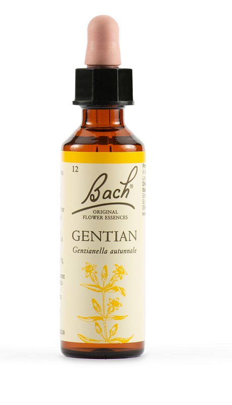 GENTIAN BACH ORIG 20 ML - Doctor Vinz