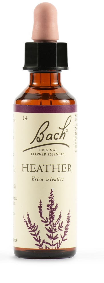 HEATHER BACH ORIG 20 ML - Doctor Vinz