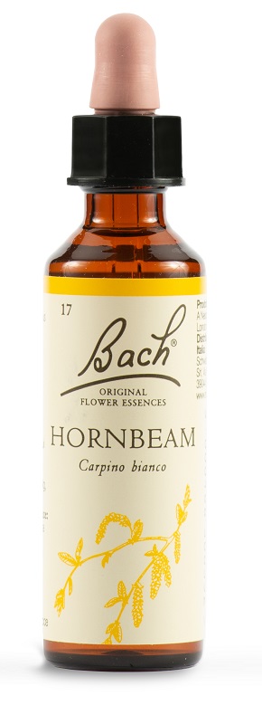HORNBEAM BACH ORIG 20 ML - Doctor Vinz