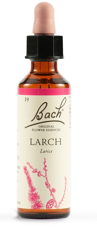LARCH BACH ORIG 20 ML - Doctor Vinz