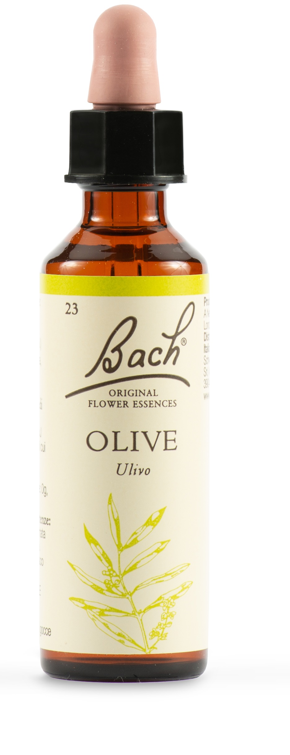 OLIVE BACH ORIG 20 ML - Doctor Vinz