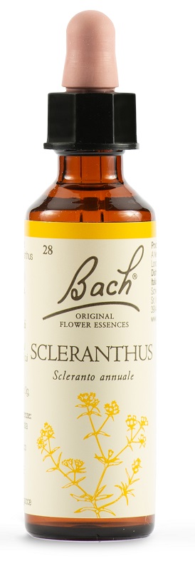 SCLERANTUS BACH ORIG 20 ML - Doctor Vinz
