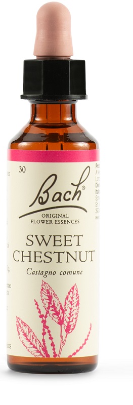 SWEET CHEST BACH ORIG 20 ML - Doctor Vinz