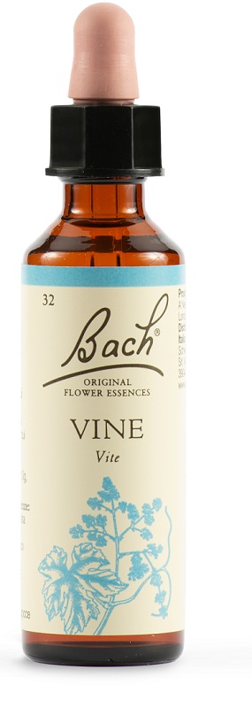 VINE BACH ORIG 20 ML - Doctor Vinz