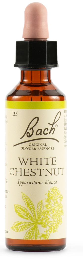 WHITE CHEST BACH ORIG 20 ML - Doctor Vinz
