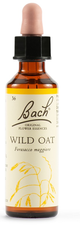 WILD OAT BACH ORIG 20 ML - Doctor Vinz