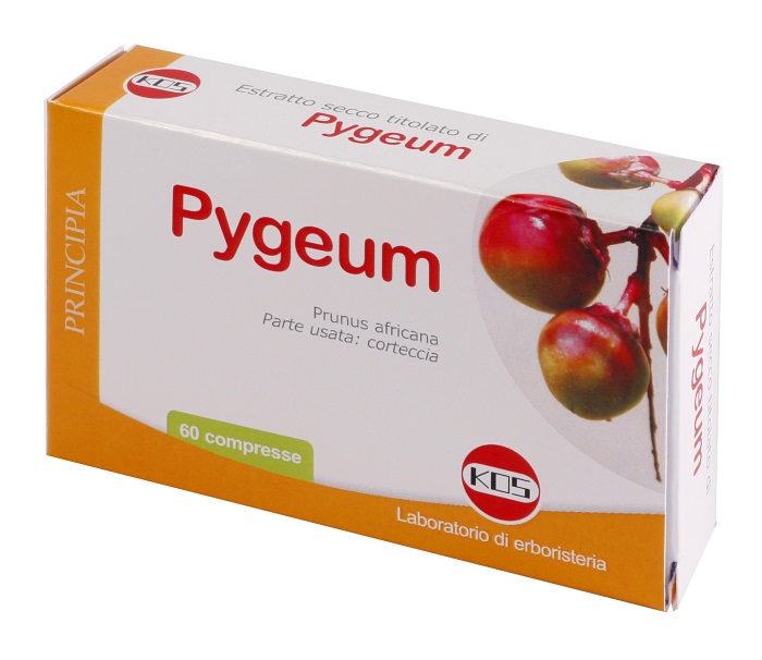 PYGEUM ESTRATTO SECCO 60 COMPRESSE - Doctor Vinz