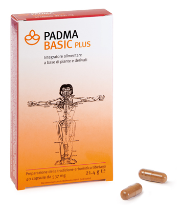 PADMA BASIC PLUS 40 CAPSULE - Doctor Vinz