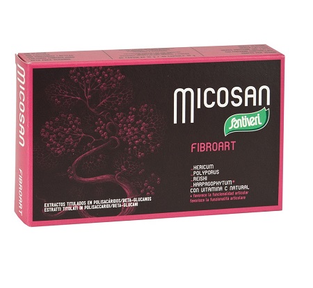 MICOSAN FIBROART 40 CAPSULE - Doctor Vinz