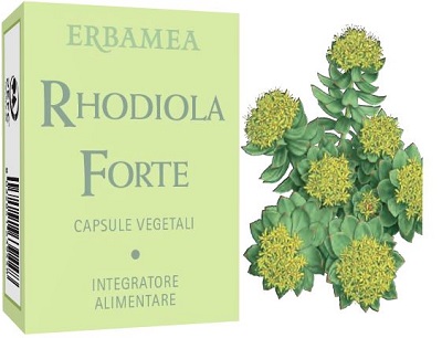 RHODIOLA FORTE 24 CAPSULE - Doctor Vinz