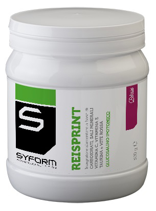 REISPRINT BERRIES 500 G - Doctor Vinz