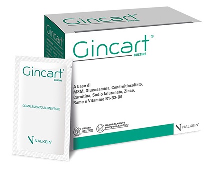GINCART 18 BUSTINE - Doctor Vinz