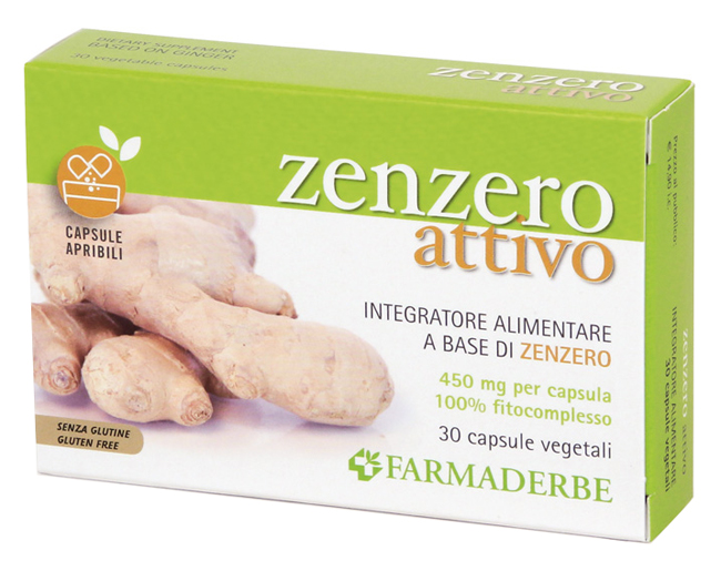 ZENZERO 30 CAPSULE - Doctor Vinz