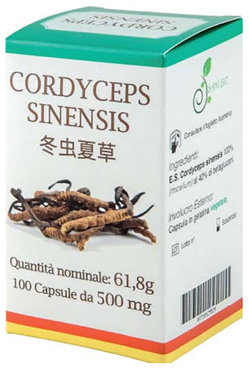 CORDYCEPS 100 CAPSULE - Doctor Vinz