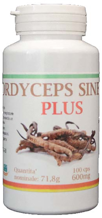 CORDYCEPS PLUS 100 CAPSULE - Doctor Vinz