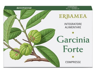 GARCINIA FORTE 30 COMPRESSE - Doctor Vinz