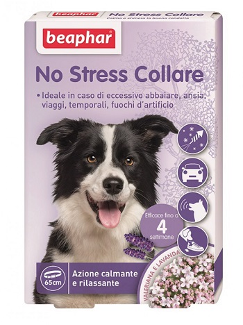 NO STRESS COLLARE CANE - Doctor Vinz